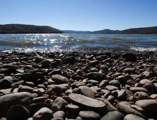 Rock Shoreline