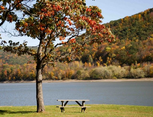 Picnic Area By Water